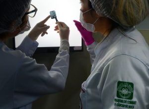 ASCES-UNITA_09112025_01