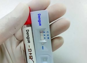 DENGUE-MINISTÉRIODASAÚDE_23012025