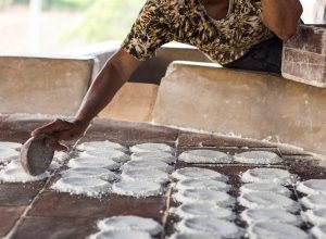 FENEARTE_17072025_02