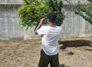 Foto/ Imagem: Divulgação/ Mirella Anastacio