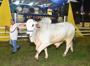 Foto/ Imagem: Misael Morais/Expocarpina