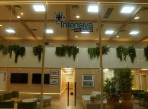 INTENSIVADAY_16112024_00