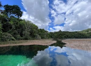 Foto/ Imagem:  Ingreti Santos