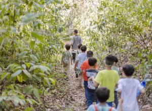 PARQUEDOISIRMÃOS_26122024