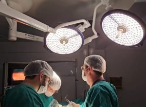 Imagem de Divulgação/ Flávia Tavares