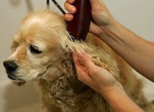 Foto/ Imagem: Bigstock