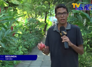 TVDH_26052025_00_278