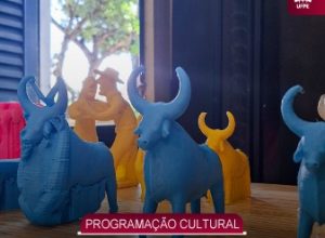 Foto/ Imagem: Divulgação/ Luciana de Souza Leão